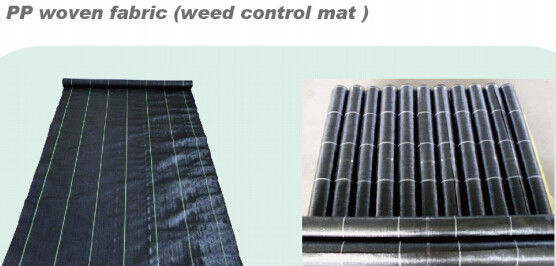 FILM IN BIG ROLL,NON-SLIPPING FILM,PP WOVEN FABRIC WEED CONTROL MAT,BUILDING FILM,COVER FILM, COMPOSTABLE, BIODEGRADABLE