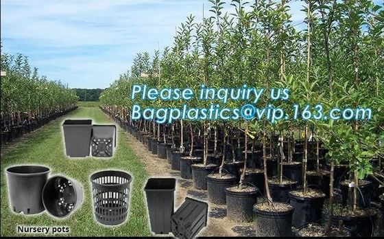 mini plastic nursery pots flower pots for herb seedling,cheap price black plastic nursery pots flexible soft pot, seedli