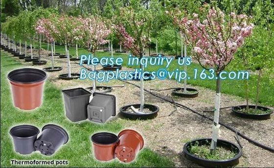 plastic pots for nursery plants clear orchid pots photo,1, 2, 2.5, 3, 5, 7, 10 gallon nursery plastic flower pot,plantin