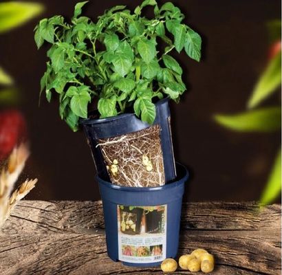 High quality PP potato grow pot planting bag,Gallon Garden Plastic Nursery Plant Flower Grow Pot for Plants, Black Indoo