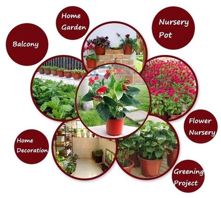 Nursery Flower soft cheap plastic plant flower pots wholesale,fleshy flowerpots cheap plastic garden plant flower pots,