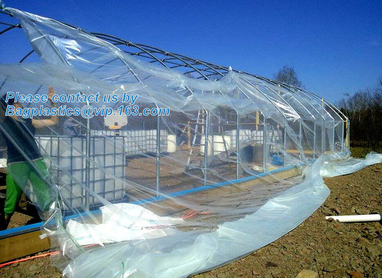 plastic film agriculture greenhouse,6 mil poly anti-uv plastic greenhouse film,Anti-fog UV resistant,mushroom,TOMATO PAC