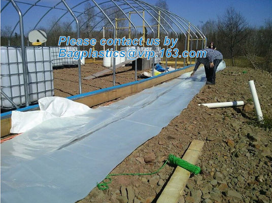 plastic film agriculture greenhouse,6 mil poly anti-uv plastic greenhouse film,Anti-fog UV resistant,mushroom,TOMATO PAC