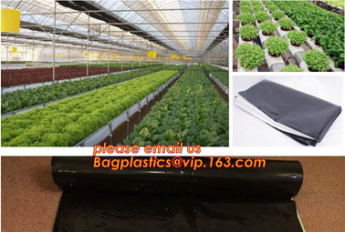 Polyethylene Commercial Tunnel Greenhouse Film for Tomato Planting 200micron,Tomato Growth Plant Tomato Film,film coveri