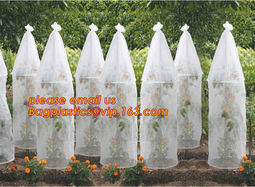 Garden used tomato plastic film cover,high light transmittance solar control seeding nursery greenhouse covers,100% virg