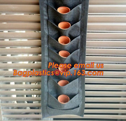 nonwoven Fabric Biodegradable Grow Bag/ grow pot, Felt Material and Grow Bags Type Planter Wall Grow Bag