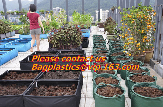 Plastic Planter, Grow Bag, garden bags, grow bags, hanging plant bags, planters