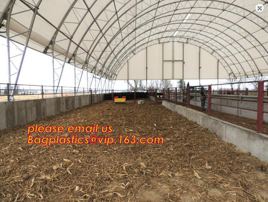 agriculture anti insect net on roll insect proof mesh for greenhouse,Greenhouse Anti Insect Netting /Agriculture Netting