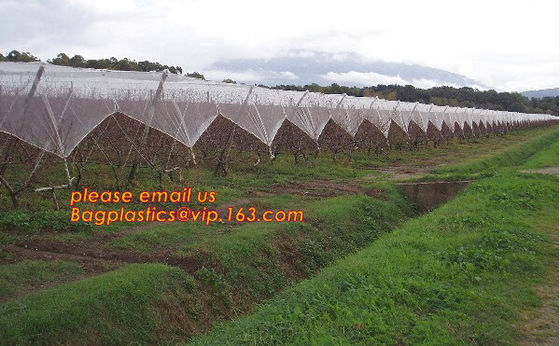 Green Construction Building Scaffolding Safety Net /Safety Mesh Netting,construction scaffold net/scaffolding net/scaffo