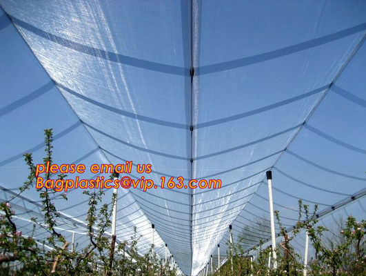 Green Construction Building Scaffolding Safety Net /Safety Mesh Netting,construction scaffold net/scaffolding net/scaffo