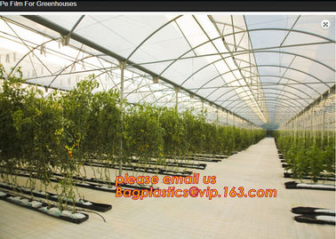 100% new HDPE insect mesh / anti bird net for apple trees,greenhouse anti insect net for plant, agriculture net Anti-ins