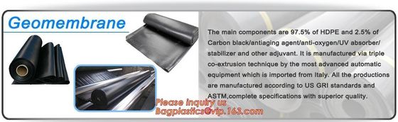 Steel plastic geogrid HDPE film HDPE LDPE geomembrane composite geomembrane woven geotextile nonwoven geotextile Extrusi