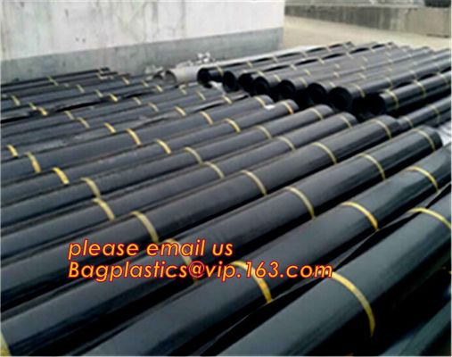 2mm HDPE reinforced polypropylene geomembrane for landfill,Geomembrane fish farming Pond Liner Hdpe Geomembrane BAGPLAST