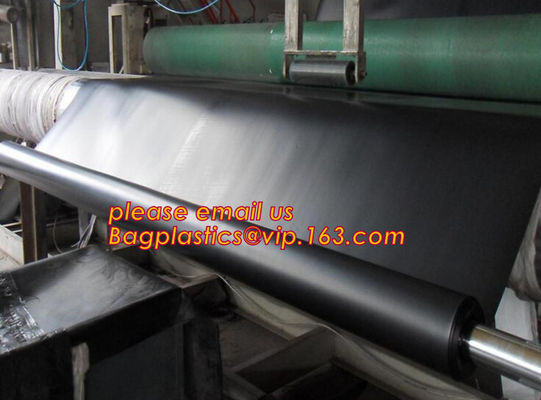 Geomembrane Dam Liner/ HDPE Reinforced Hdpe Geomembrane Fish Farm Pond Liner For Sale,Dam Liner 1mm Hdpe Geomembrane PAC