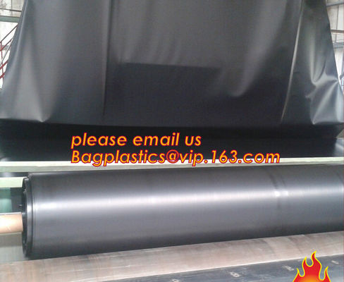 Geomembrane Dam Liner/ HDPE Reinforced Hdpe Geomembrane Fish Farm Pond Liner For Sale,Dam Liner 1mm Hdpe Geomembrane PAC