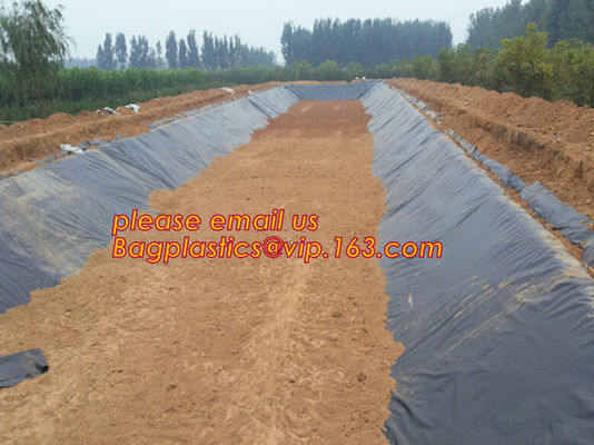 Eco-Friendly Hdpe Geomembrane Liner Geomembrane Price,Eco-Friendly Hdpe Geomembrane Liner Waterproofing Membranes BAGEAS